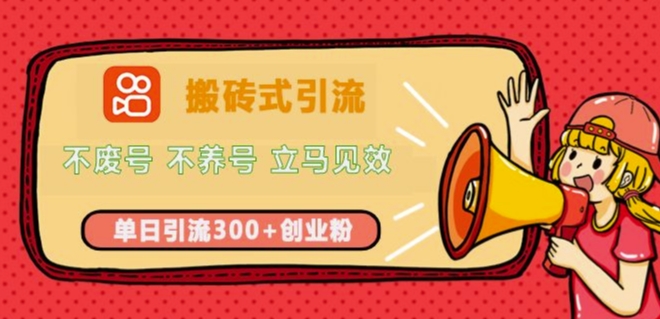 快手搬砖式引流，不废号，不养号，立马见效，单日引流300+精准创业粉-试验田