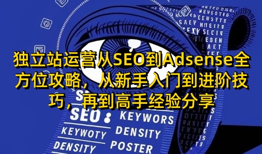 独立站运营从SEO到Adsense全方位攻略，从新手入门到进阶技巧，再到高手经验分享-试验田