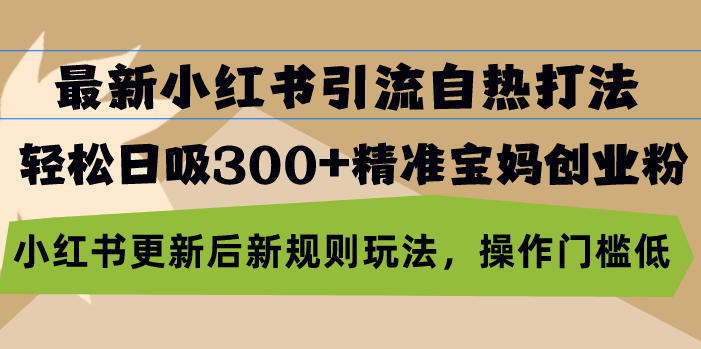 （13145期）最新小红书引流自热打法，轻松日吸300+精准宝妈创业粉，小红书更新后新…-试验田