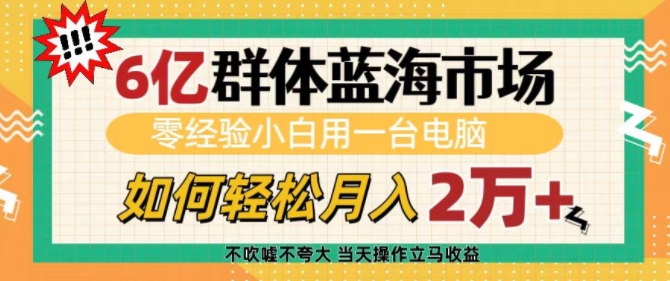 6亿群体蓝海市场，零经验小白用一台电脑，如何轻松月入过w【揭秘】-试验田