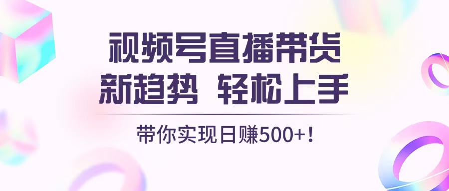 （13370期）视频号直播带货新趋势，轻松上手，带你实现日赚500+-试验田