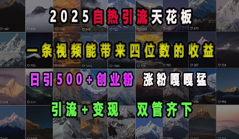 2025自热引流天花板，一条视频能带来四位数的收益，引流+变现双管齐下，日引500+创业粉，涨粉嘎嘎猛-试验田