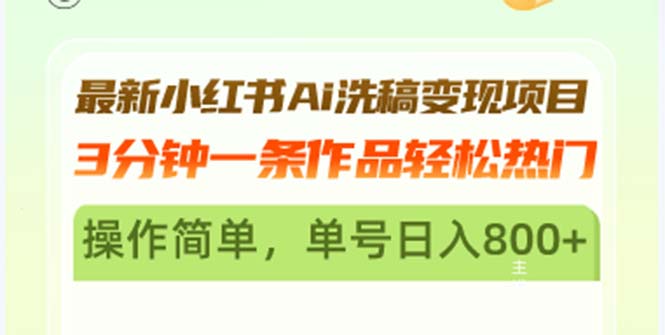 （13182期）最新小红书Ai洗稿变现项目 3分钟一条作品轻松热门 操作简单，单号日入800+-试验田