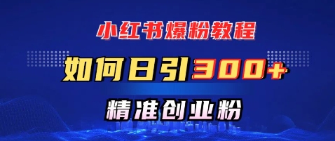 小红书的涨粉实例教程，怎样日引300 自主创业粉，迅速进行精准转现-中创网_分享创业资讯_网络项目资源-试验田