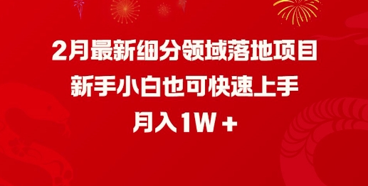 2月全新细分行业落地项目，新手入门也可以快速入门，月收入1W-中创网_分享创业资讯_网络项目资源-试验田