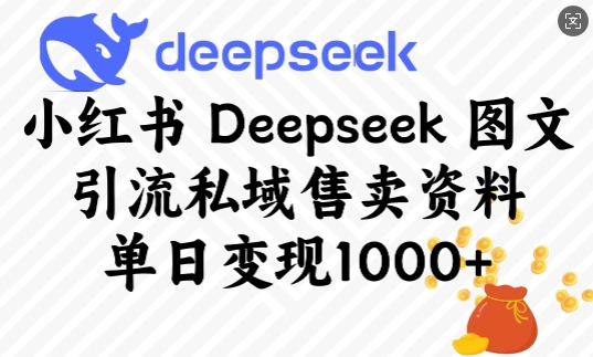 小红书的Deepseek图文并茂引流方法公域出售材料，单日转现好几张-中创网_分享创业资讯_网络项目资源-试验田