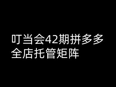 钉铛会拼多多平台打穿班原创设计高级技术性第42期，拼多多平台店铺代管引流矩阵-中创网_分享创业资讯_网络项目资源-试验田