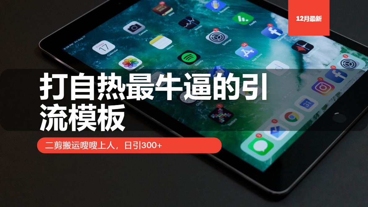 （13654期）打自热最牛逼的引流模板，二剪搬运嗖嗖上人，日引300+-试验田