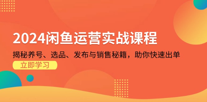 （13290期）2024闲鱼运营实战课程：揭秘养号、选品、发布与销售秘籍，助你快速出单-试验田