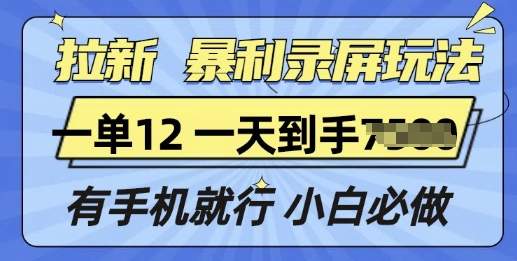 拉新暴利录屏玩法，一单12块，有手机就行，小白必做-试验田