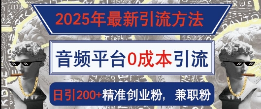 2025年最新引流方法，音频平台0成本引流，日引200+精准创业粉-试验田