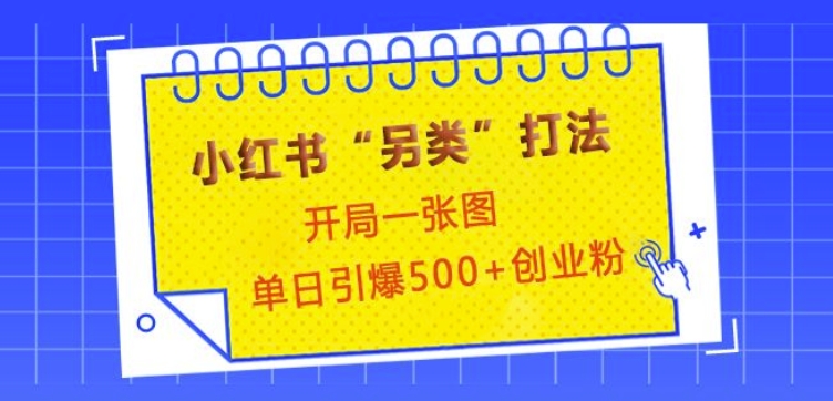 小红书“另类”打法，开局一张图，单日引爆500+精准创业粉【揭秘】-试验田