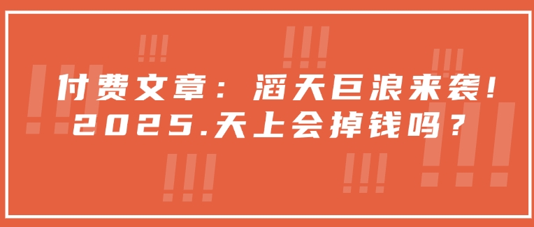 付费文章：滔天巨浪来袭！2025天上会掉钱吗？-试验田