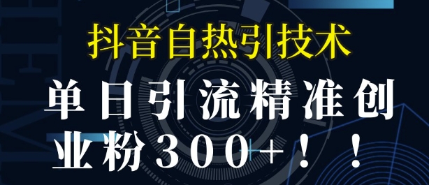 抖音自热引流，单日引流精准创业粉300+-试验田