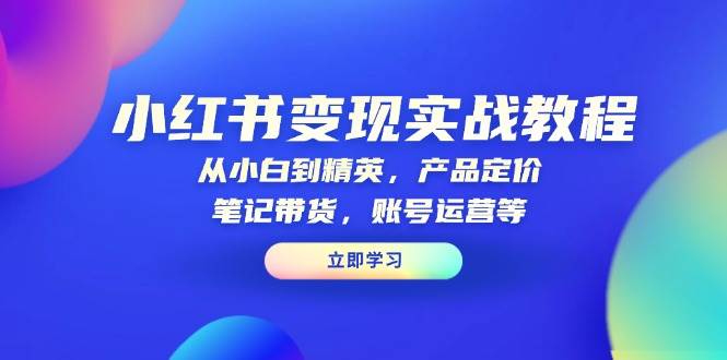 小红书变现实战教程：从小白到精英，产品定价，笔记带货，账号运营等-试验田