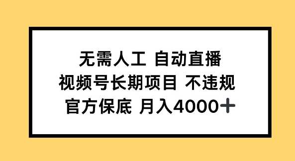 无需人工自动直播，视频号长期项目 不违规，官方保底月入4k左右-试验田