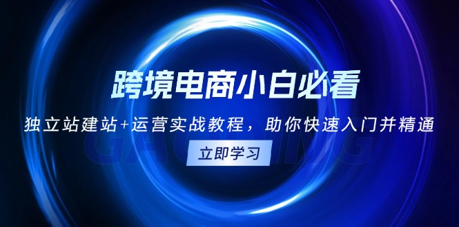 （13503期）跨境电商小白必看！独立站建站+运营实战教程，助你快速入门并精通-试验田