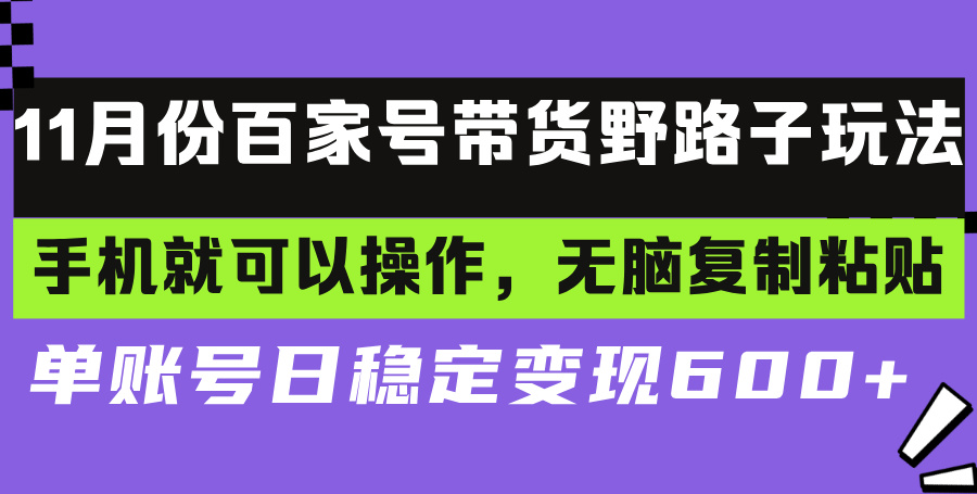 （13281期）百家号带货野路子玩法 手机就可以操作，无脑复制粘贴 单账号日稳定变现…-试验田