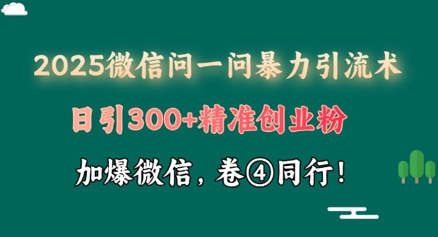 2025最新微信问一问暴力引流术揭秘，日引300+创业粉，单日变现四位数-试验田