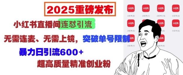 2025重磅发布：小红书直播间连怼引流，无需连麦、无需上镜，突破单号限制，暴力日引流600+-试验田