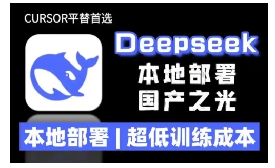 2025年deepseek R1 大型模型本地安装部署(文件+教程)本地部署，超低训练成本-试验田