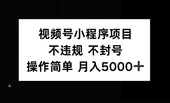 视频号小程序项目，不违规不封号，操作简单 月入5000+-试验田