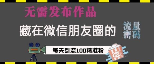 藏在微信朋友圈的流量密码，无需发布作品，单日引流100+精准创业粉【揭秘】-试验田