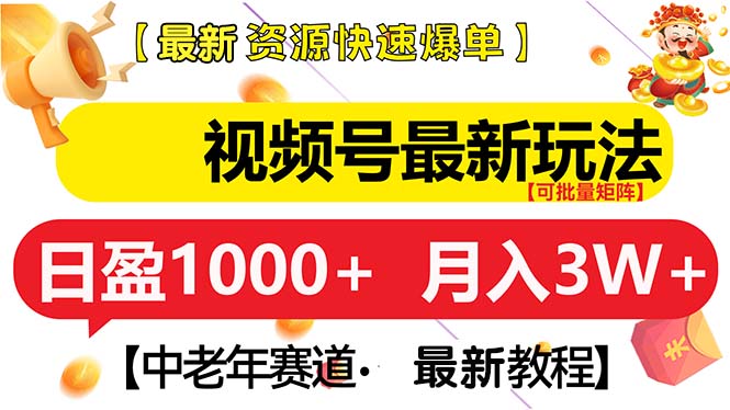 （13530期）视频号最新玩法 中老年赛道 月入3W+-试验田