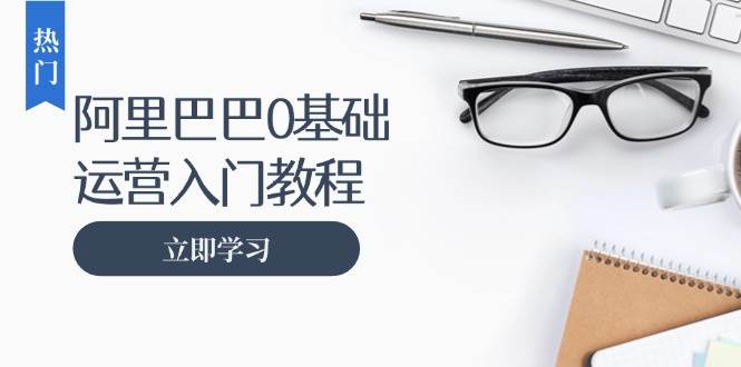 阿里巴巴运营零基础入门教程：涵盖开店、运营、推广，快速成为电商高手-试验田