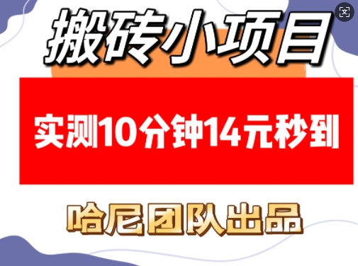 搬砖小项目，实测10分钟14元秒到，每天稳定几张(赠送必看稳定)-试验田