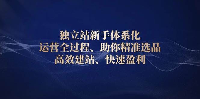 独立站新手体系化 运营全过程，助你精准选品、高效建站、快速盈利-试验田