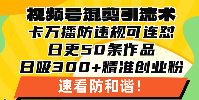 （13400期）视频号混剪引流技术，500万播放引流17000创业粉，操作简单当天学会-试验田