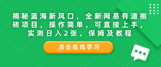 揭秘蓝海新风口，全新网易有道搬砖项目，操作简单，可直接上手，实测日入2张，保姆及教程-试验田