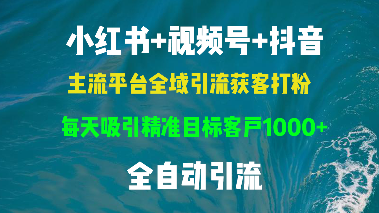 （13104期）小红书，视频号，抖音主流平台全域引流获客打粉，每天吸引精准目标客户…-试验田