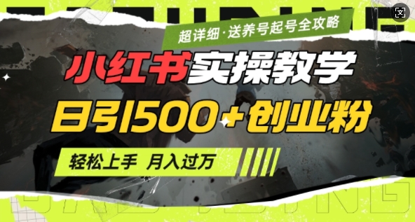 2月小红书最新日引500+创业粉实操教学【超详细】小白轻松上手，月入1W+，附小红书养号起号SOP-中创网_分享创业资讯_网络项目资源-试验田