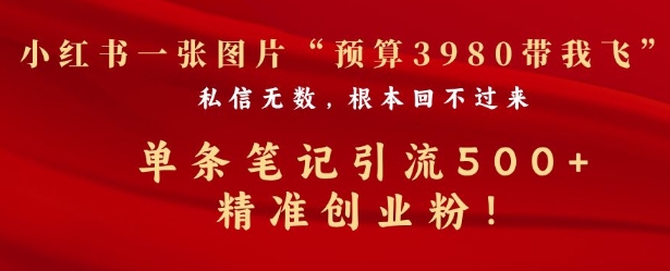 小红书一张图暴力引流500+精准创业粉-试验田