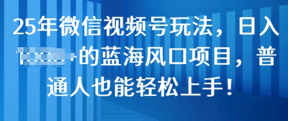 25年微信视频号玩法，日入几张的蓝海风口项目，普通人也能轻松上手!-试验田