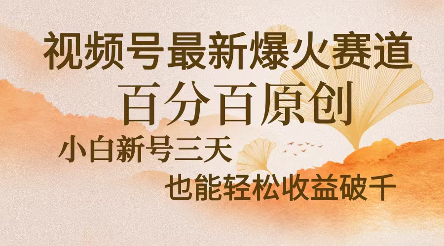 （13225期）视频号最新爆火赛道，中老年粉深信不疑，百分百原创，新号三天收益轻松…-试验田