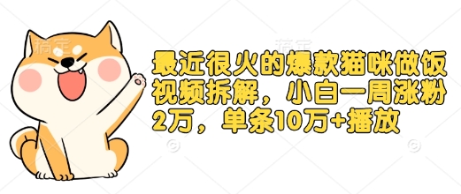 最近很火的爆款猫咪做饭视频拆解，小白一周涨粉2万，单条10万+播放(附保姆级教程)-试验田