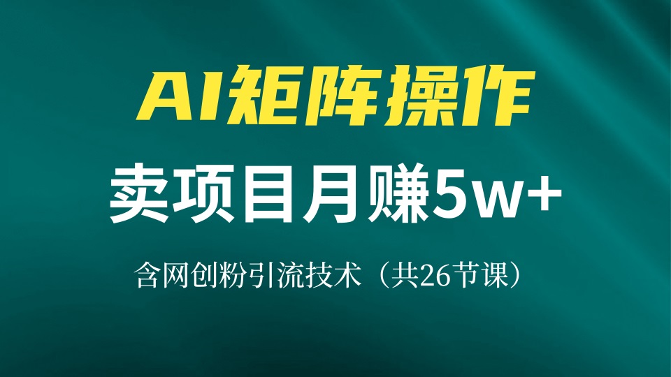 （13335期）网创IP打造课，借助AI卖项目月赚5万+，含引流技术（共26节课）-试验田