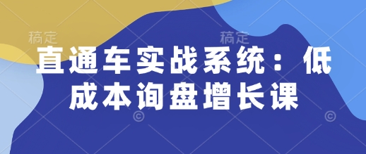 直通车实战系统：低成本询盘增长课，让个人通过技能实现升职加薪，让企业低成本获客，订单源源不断-试验田