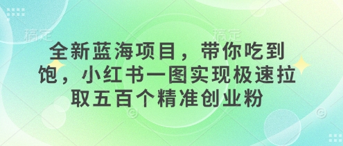 全新蓝海项目，带你吃到饱，小红书一图实现极速拉取五百个精准创业粉-试验田