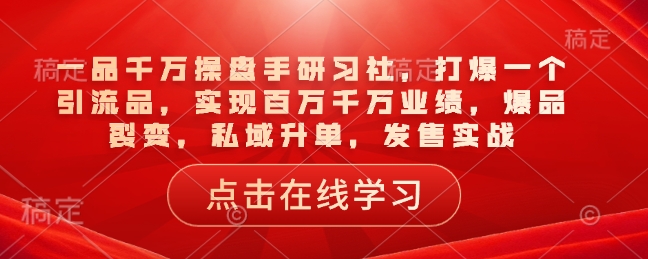 一品千万操盘手研习社，打爆一个引流品，实现百万千万业绩，爆品裂变，私域升单，发售实战-试验田