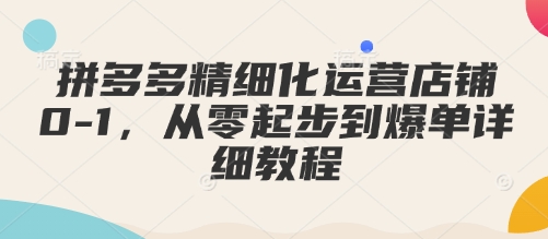 拼多多精细化运营店铺0-1，从零起步到爆单详细教程-试验田