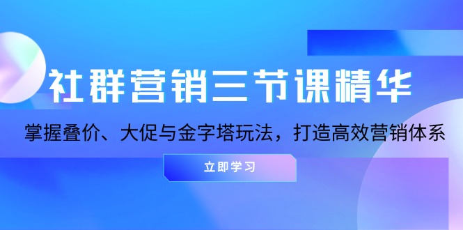 （13431期）社群营销三节课精华：掌握叠价、大促与金字塔玩法，打造高效营销体系-试验田