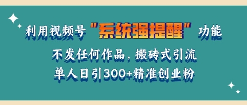 利用微信视频号系统提醒功能，引流精准创业粉，无需发布任何作品，单人单日引流300+创业粉-试验田