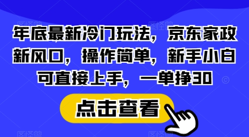 年底最新冷门玩法，京东家政新风口，操作简单，新手小白可直接上手，一单挣30【揭秘】-试验田