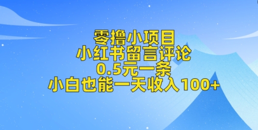 零撸小项目，小红书留言评论，0.5元一条，小白也能一天收入100+-试验田