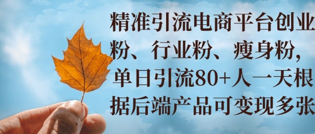 小投资撬动大收益，精准引流创业粉、行业粉，单日引流80+，一天可变现多张-试验田