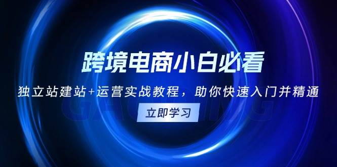 跨境电商小白必看！独立站建站+运营实战教程，助你快速入门并精通-试验田